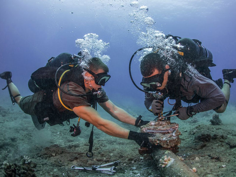 ألياف ضوئية وخوادم وكابلات تحت الماء: نظرة على الشكل الحقيقي لشبكة الإنترنت